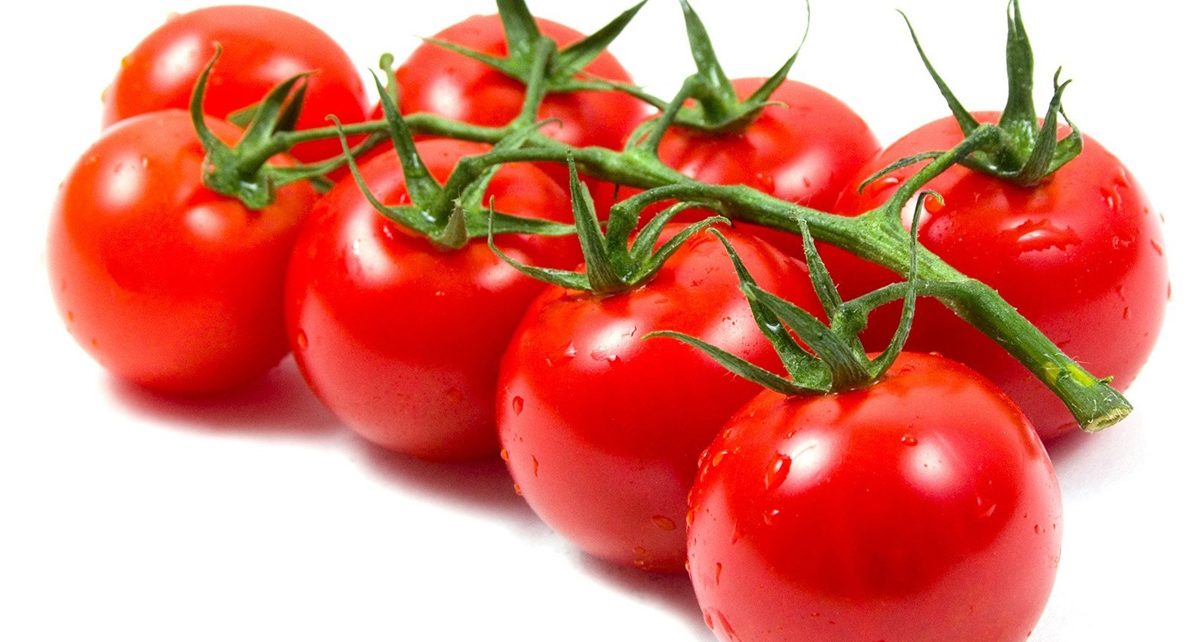 Manfaat tomat bagi kesehatan