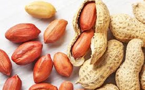 Manfaat makan Kacang Tanah Buat Kesehatan