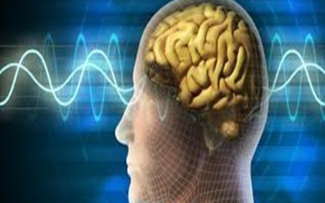 Cara Meningkatkan Memori Otak Alami Sehat
