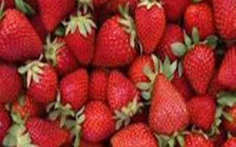 Khasiat Dari Buah Strawberry Untuk Tubuh
