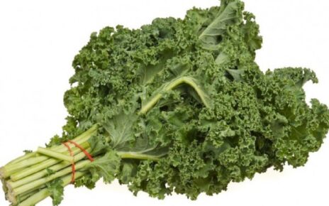 5 Khasiat Sayur Kale, Ampuh Menjaga Kesehatan Mulut Lho!