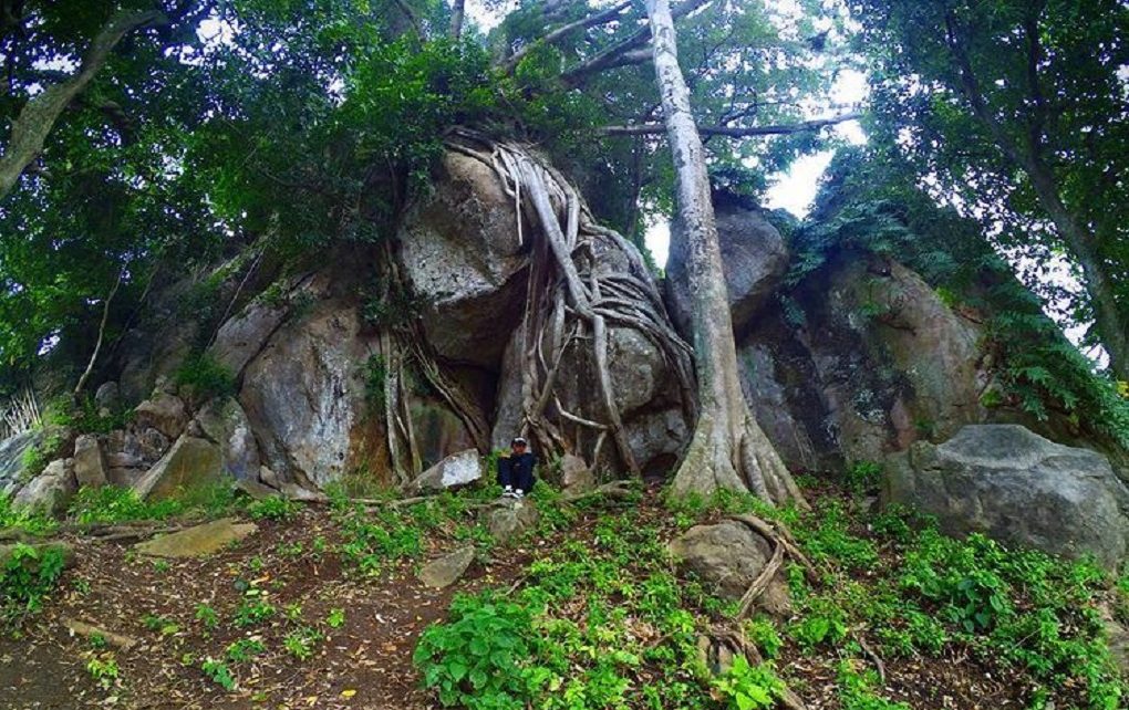 5 Tempat Wisata Alam di Bojonegoro yang Paling Epik, Mampir yuk!