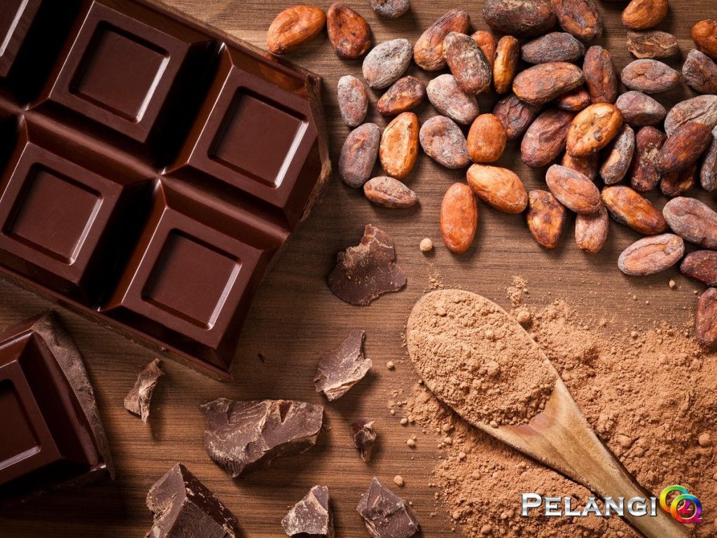 5 Manfaat Makan Cokelat untuk Otak