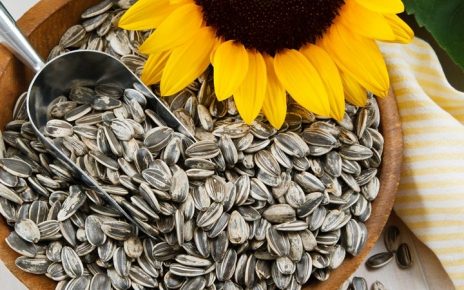 Efek Samping Makan Biji Bunga Matahari Bagi Kesehatan