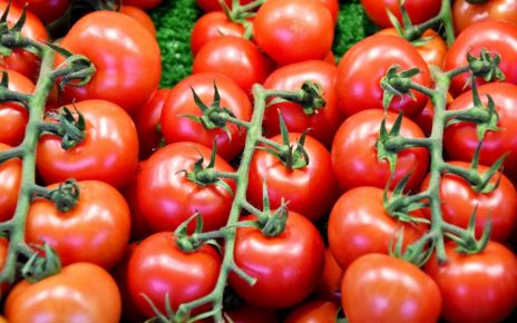 Ini 9 Manfaat Tomat bagi Kesehatan